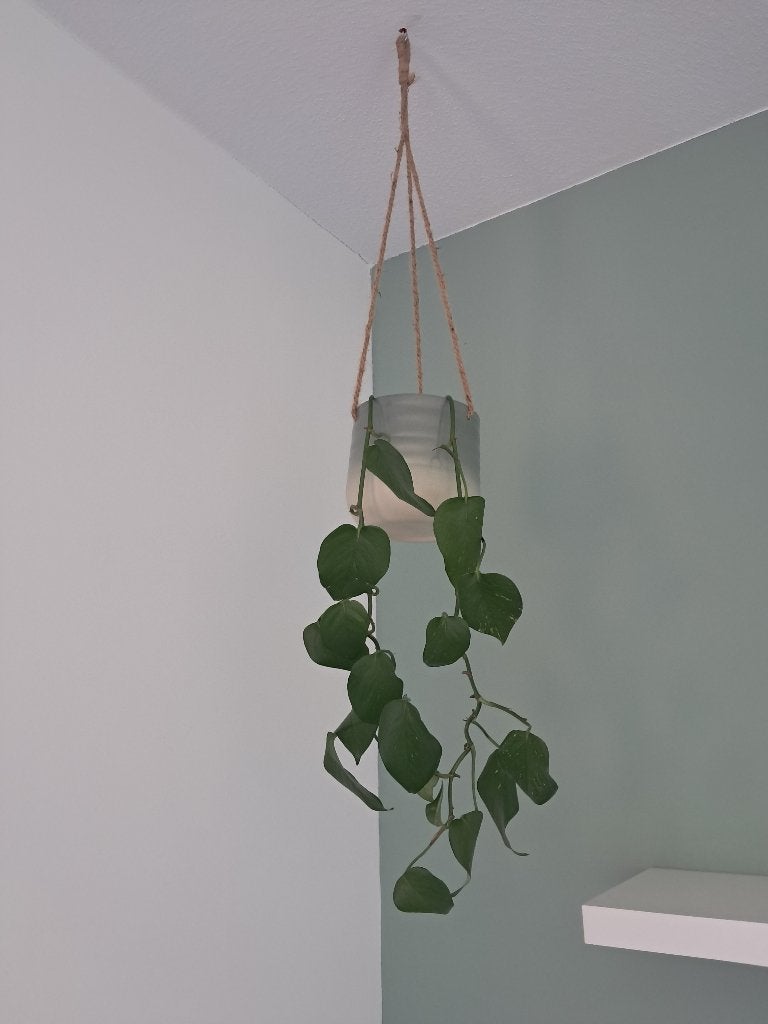 plantenhanger IKEA, Ophalen of Verzenden, Zo goed als nieuw, Groen