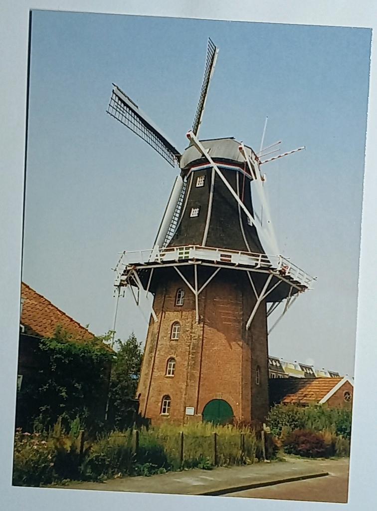 Winschoten ( Gr. ) Molen Dijkstra  - Westerhuis, Verzenden, 1980 tot heden, Ongelopen, Groningen