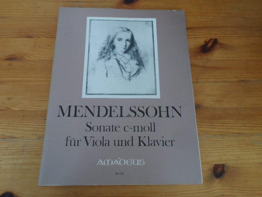 Mendelssohn - sonatn / concerto, Gebruikt, Klassiek, Ophalen of Verzenden, Viool of Altviool