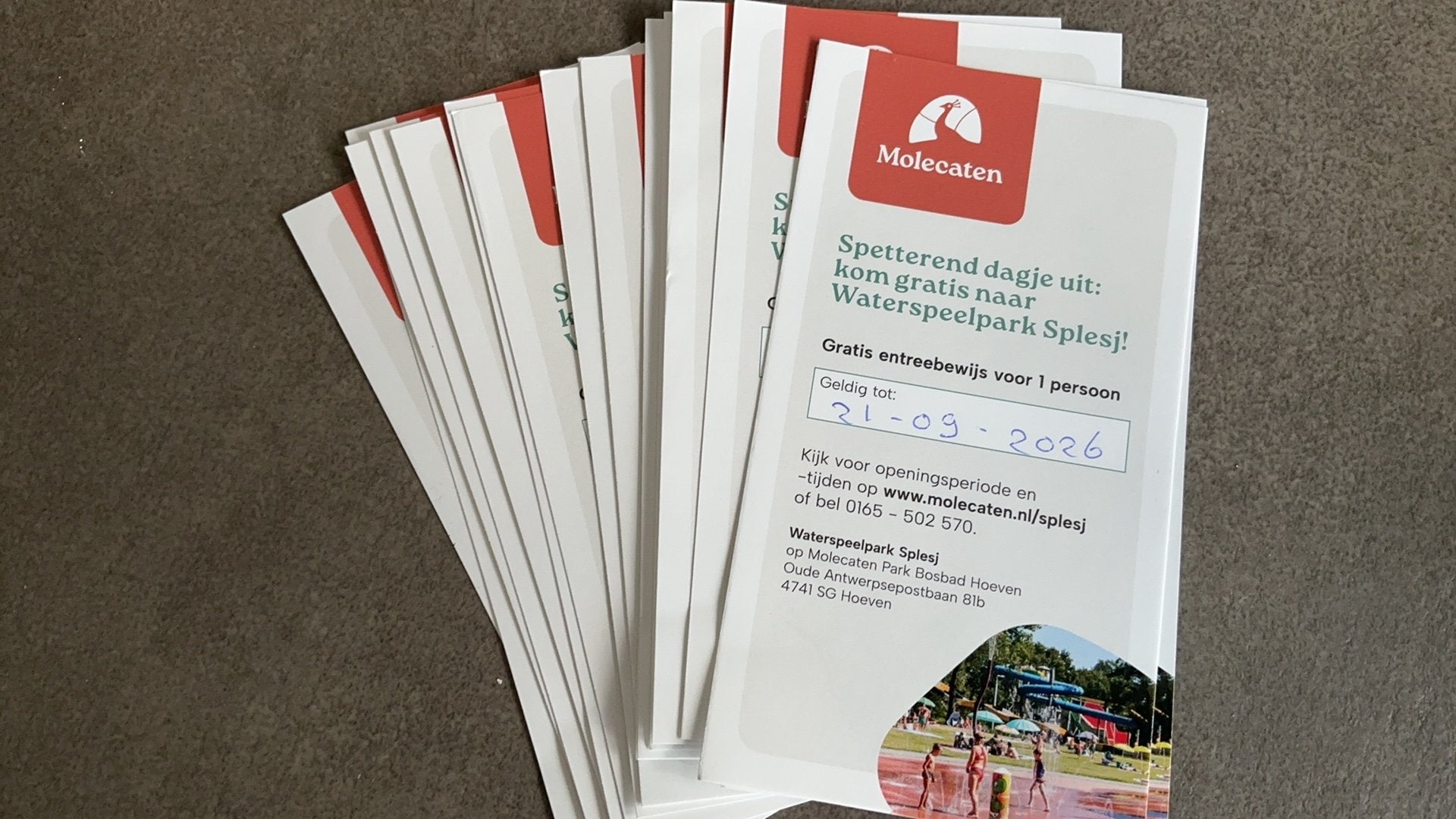 Tickets waterspeelpark SPLESJ Hoeven, Drie personen of meer, Overige soorten