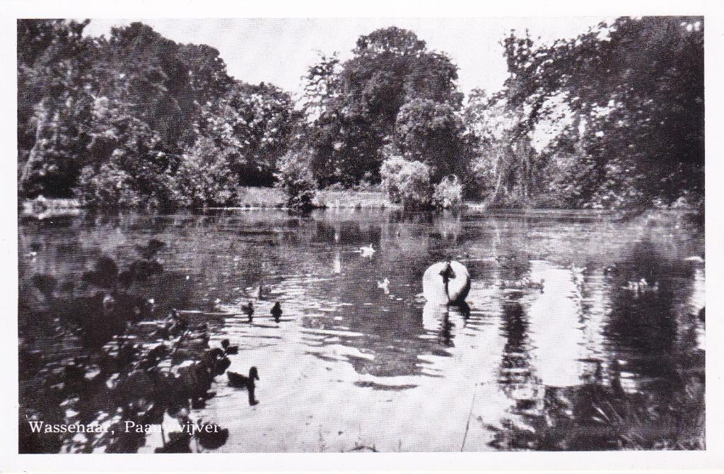 08179 Wassenaar - Paauwvijver, Verzenden, 1940 tot 1960, Ongelopen, Zuid-Holland