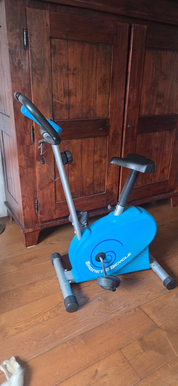 Hometrainer gratis! (met klein defect: trapt af en toe door), Ophalen, Gebruikt, Metaal, Benen
