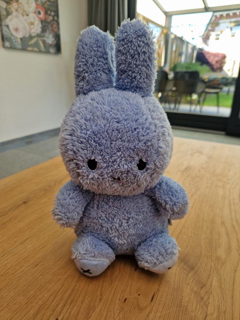 Nijntje knuffel Terry blauw - 30 cm, Kinderen en Baby's, Speelgoed | Knuffels en Pluche, Blauw, Konijn, Nijntje, Ophalen of Verzenden