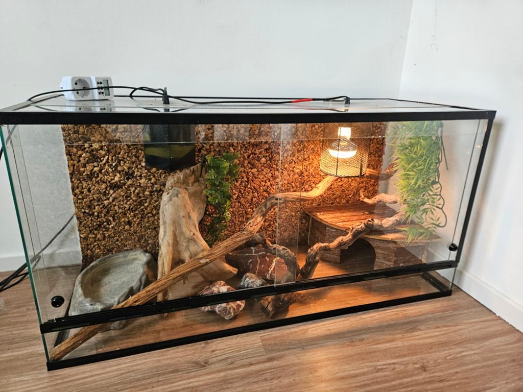 Terrarium, Dieren en Toebehoren, Ophalen