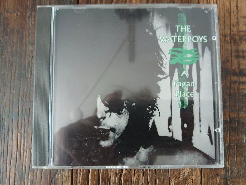 waterboys cd +12 "single vinyl, Ophalen of Verzenden, Zo goed als nieuw