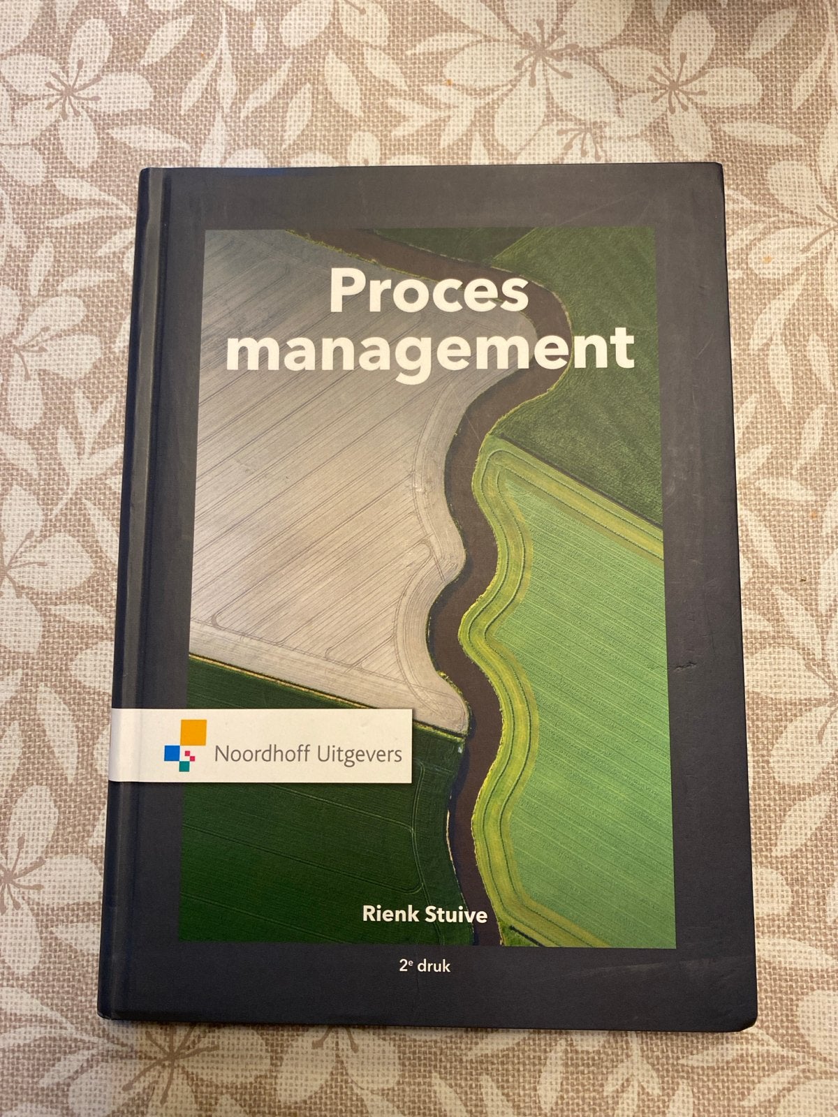 Procesmanagement - Rienk Stuive (2e druk), Boeken, Ophalen of Verzenden, Gamma, Nieuw, HBO