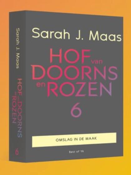Hof van doorns en rozen deel 6 - Sarah J. Maas