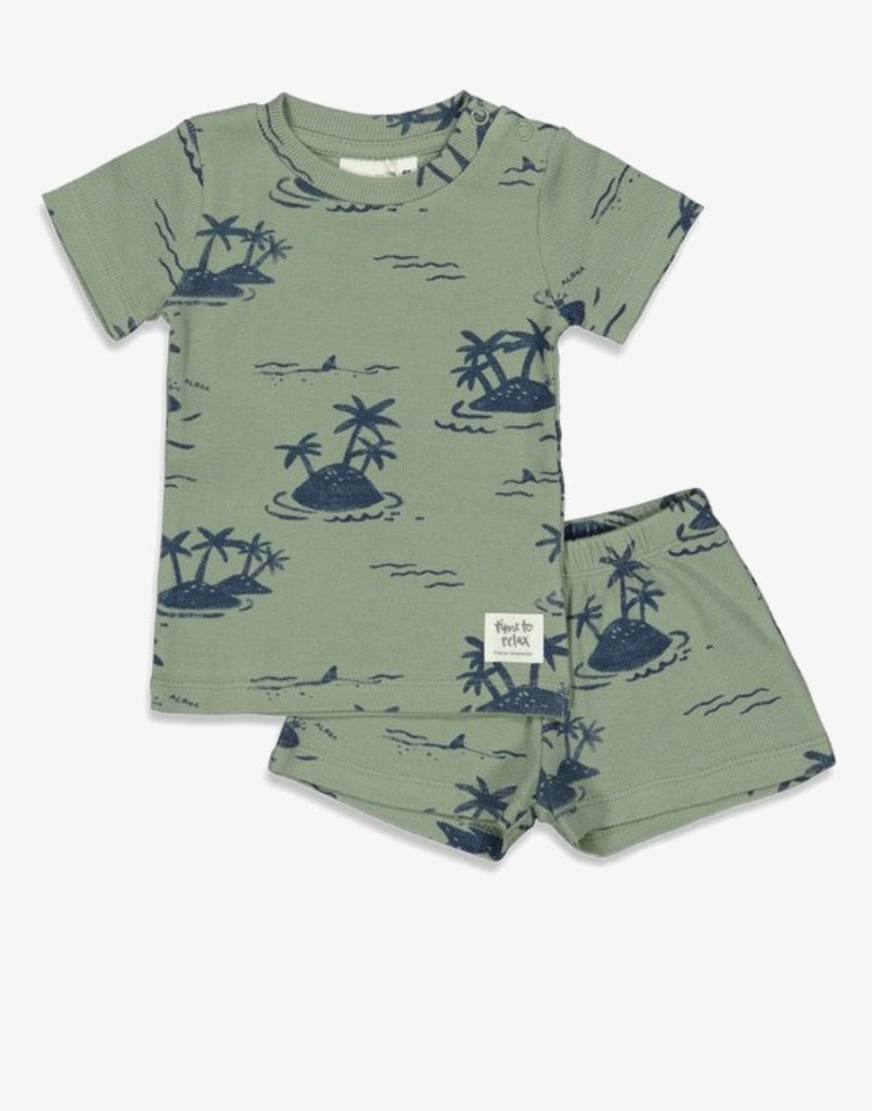 Feetje Pyjama palm paker maat 56,62,152  (advr 232), Kinderen en Baby's, Babykleding | Maat 62, Nacht- of Onderkleding, Jongetje of Meisje