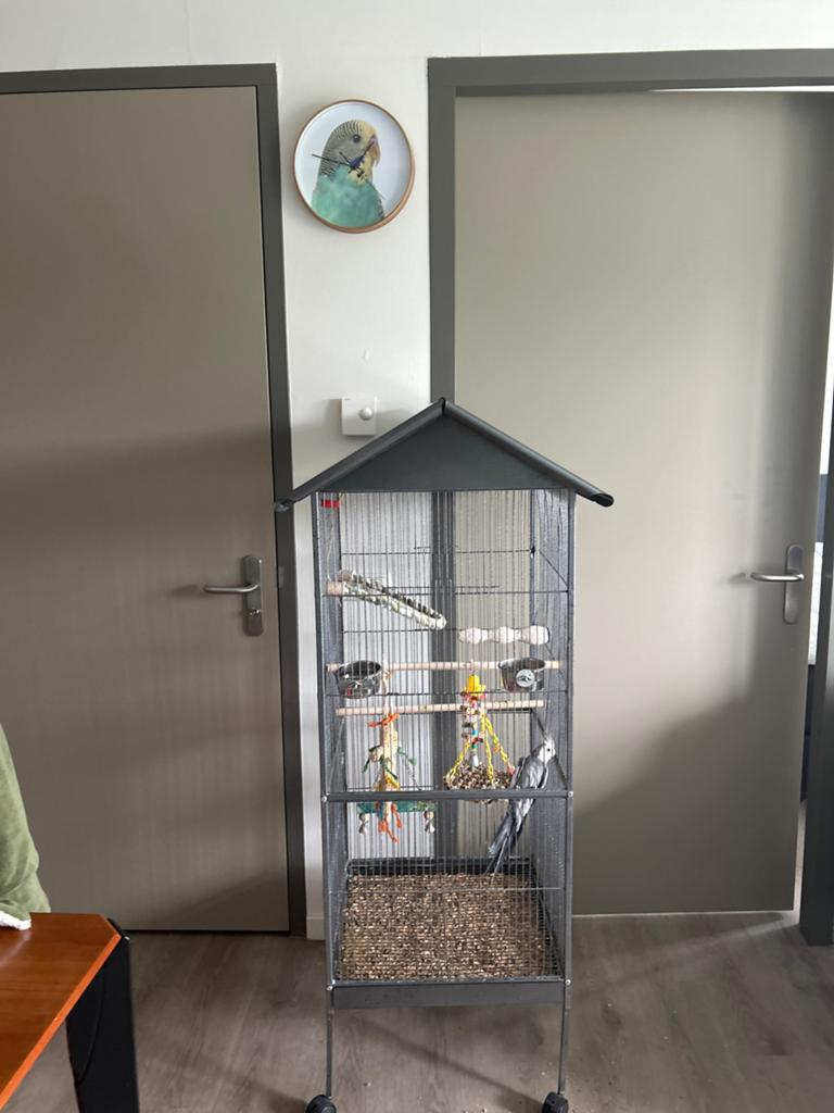 Vogelkooi, Dieren en Toebehoren, Ophalen of Verzenden, Metaal, Vogelkooi