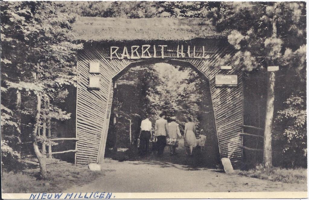 Milligen Rabbit Hill Ansichtkaart uit 1951 (2282), Ophalen of Verzenden, 1940 tot 1960, Gelopen