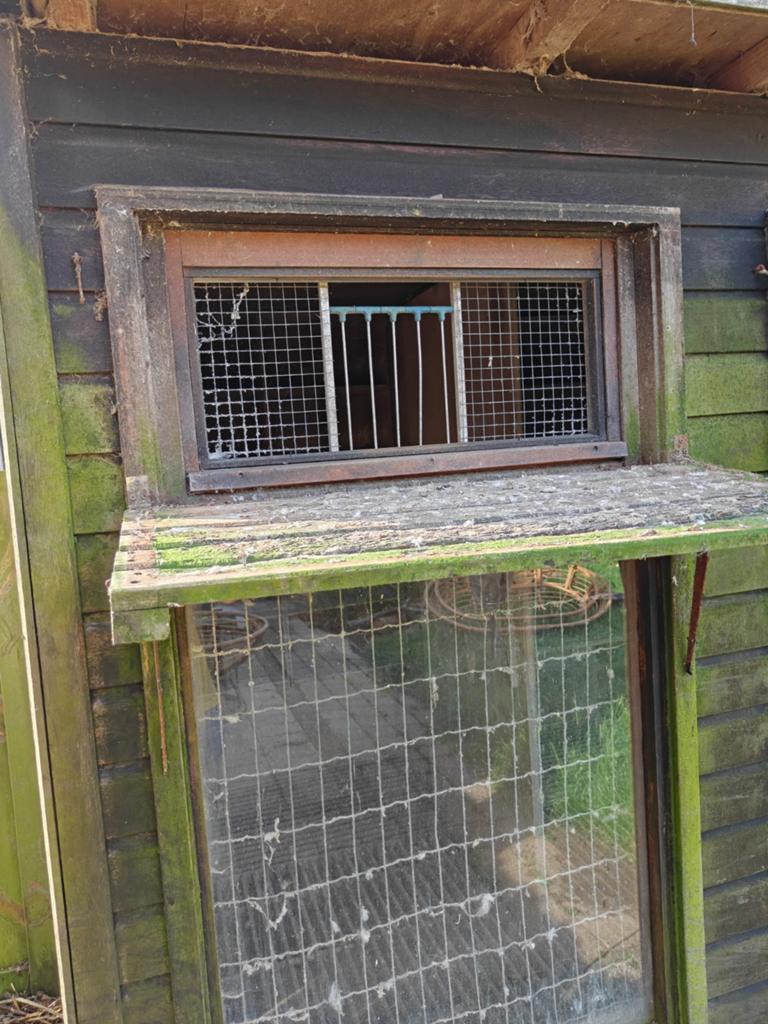 Duiventil voorgevels met invlieg luiken, Dieren en Toebehoren, Vogels | Duiven