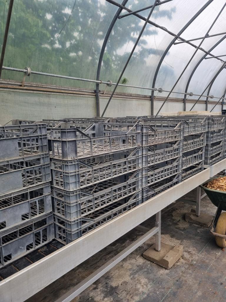 Kratten, Doe-het-zelf en Verbouw, Kratten en Dozen, Ophalen, Krat, Minder dan 35 cm