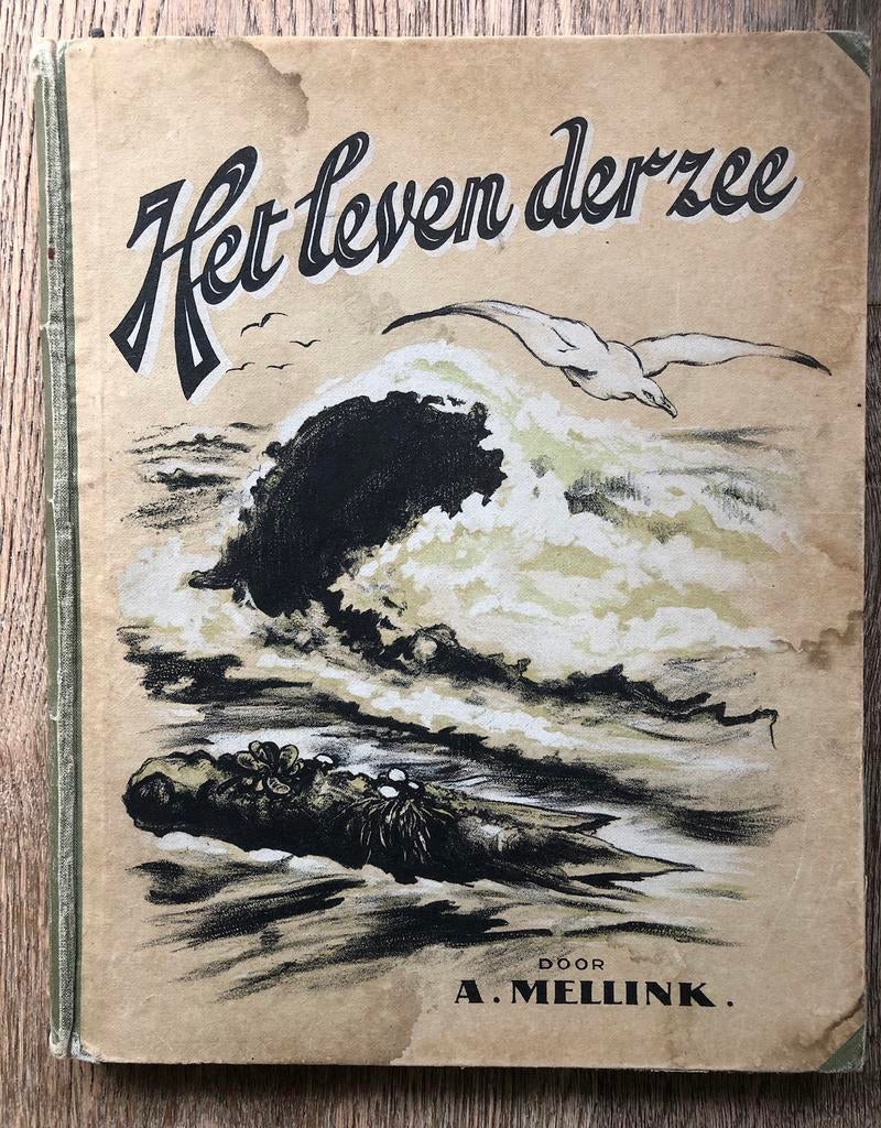 Plaatjesalbum: Het leven der zee, Ophalen of Verzenden, Gelezen, Plaatjesalbum