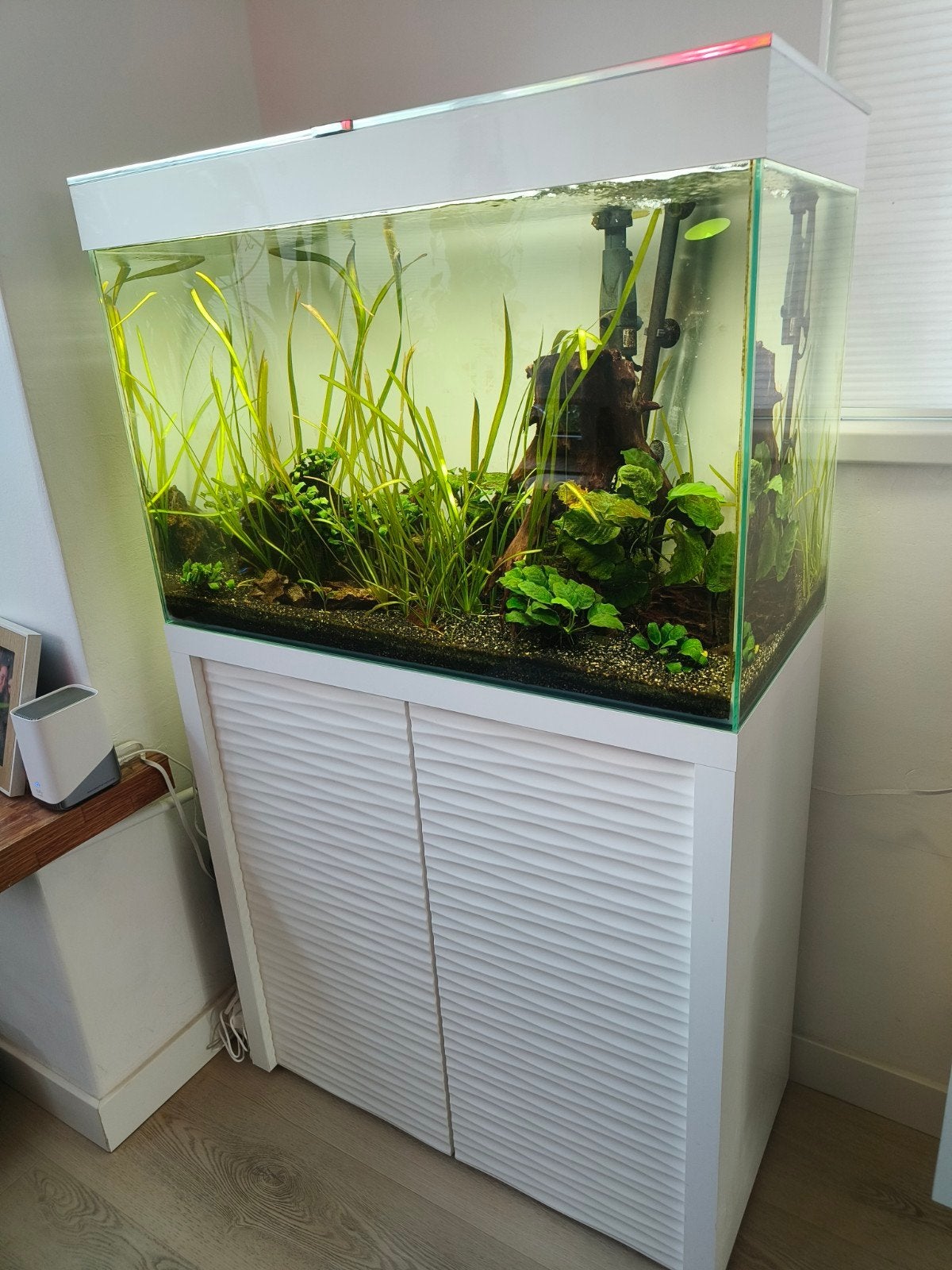 aquarium - blue marine - 81(breed) 41 (diep) x 56 hoog, Ophalen, Overige merken, Zo goed als nieuw, Leeg aquarium
