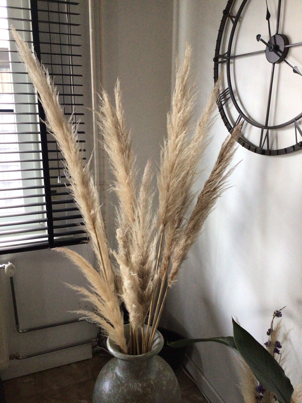 Grote bos pampasgras, Ophalen, Beige, Boho, Zo goed als nieuw