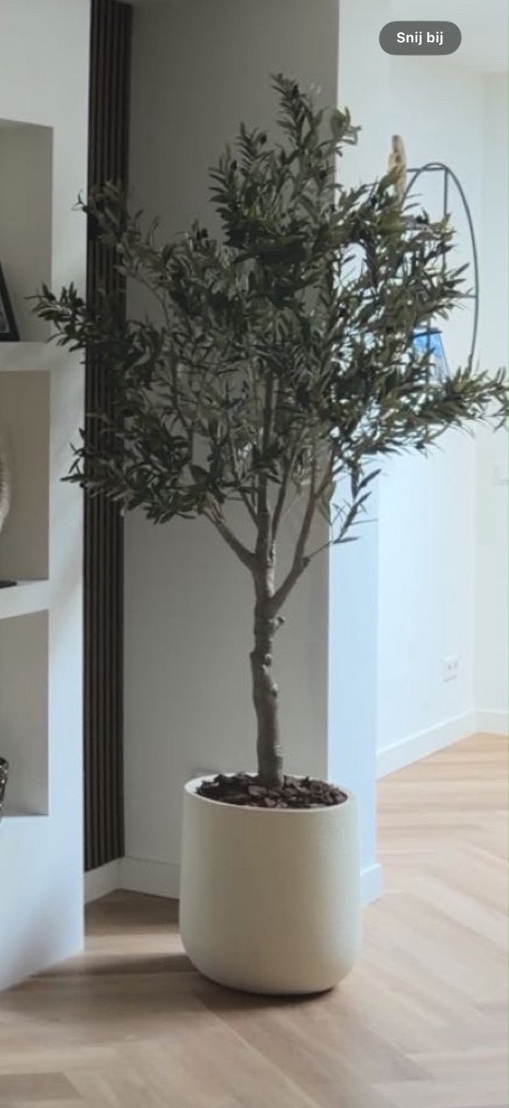 Grote Olijfboom in Pot - Kunstplant, Huis en Inrichting, Kamerplanten, Overige soorten, In pot, 150 tot 200 cm, Groene kamerplant