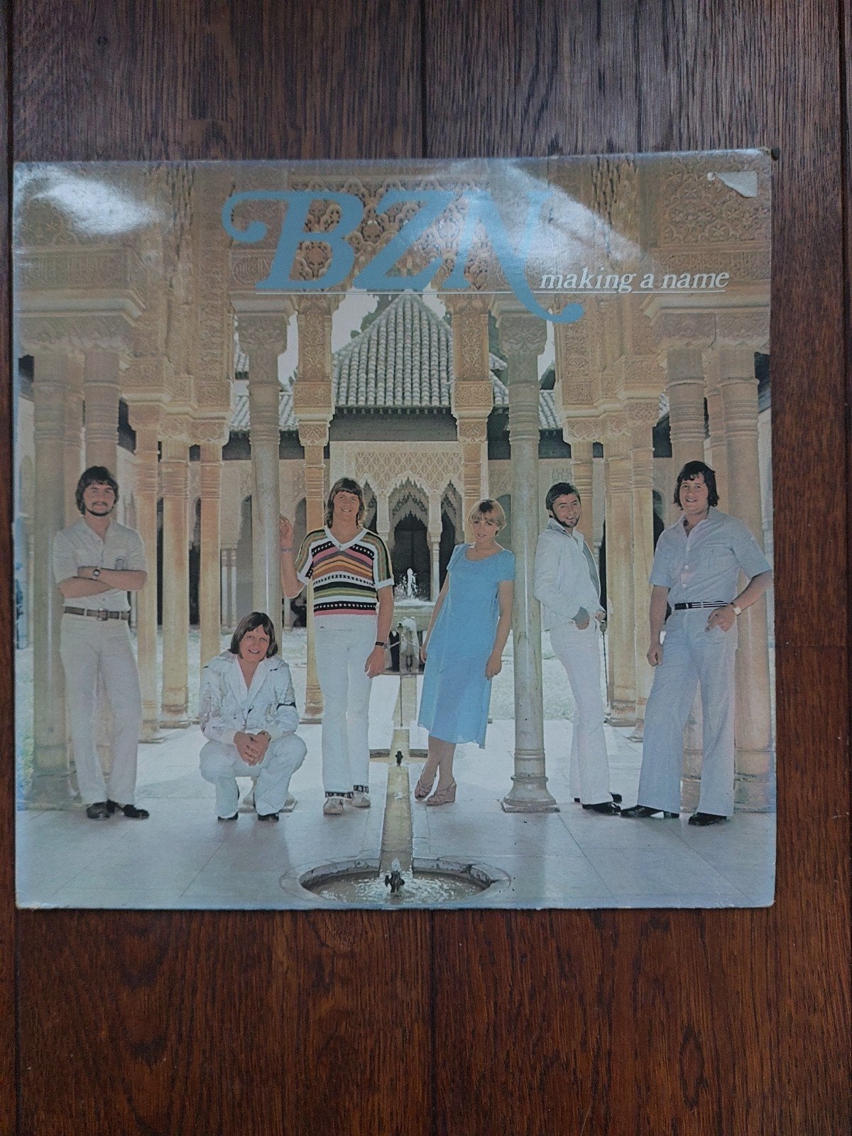BZN LP Making a name Annie Schilder, LP, Gebruikt, Pop, Ophalen of Verzenden