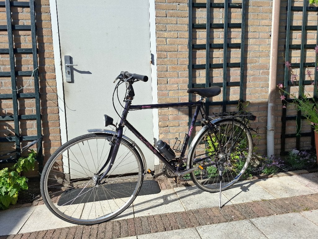 Koga Myata  in goede staat, Gebruikt, Geen vering, 53 tot 57 cm, Ophalen