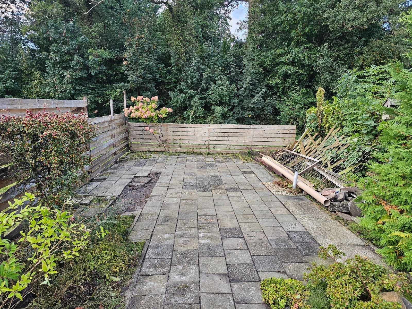 Gratis stoeptegels - Winschoten - Zelf ophalen, Gebruikt, Ophalen of Verzenden, 10 m² of meer, Beton