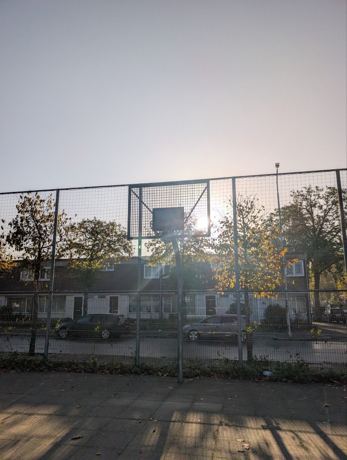 Stevige basketbalpaal met ring en bord, Sport en Fitness, Ophalen of Verzenden, Gebruikt, Ring, Bord of Paal