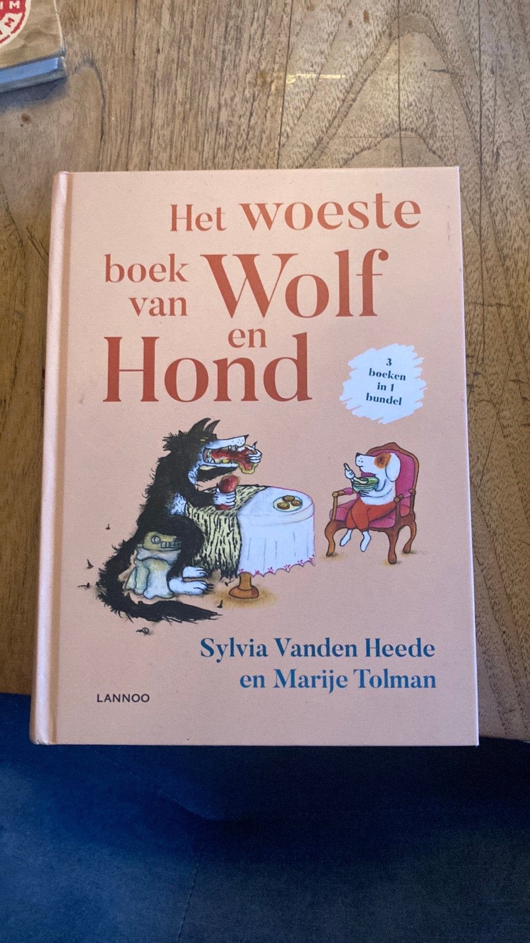 Sylvia Vanden Heede - Het woeste boek van Wolf en Hond, Fictie algemeen, Ophalen of Verzenden, Zo goed als nieuw, Sylvia Vanden Heede