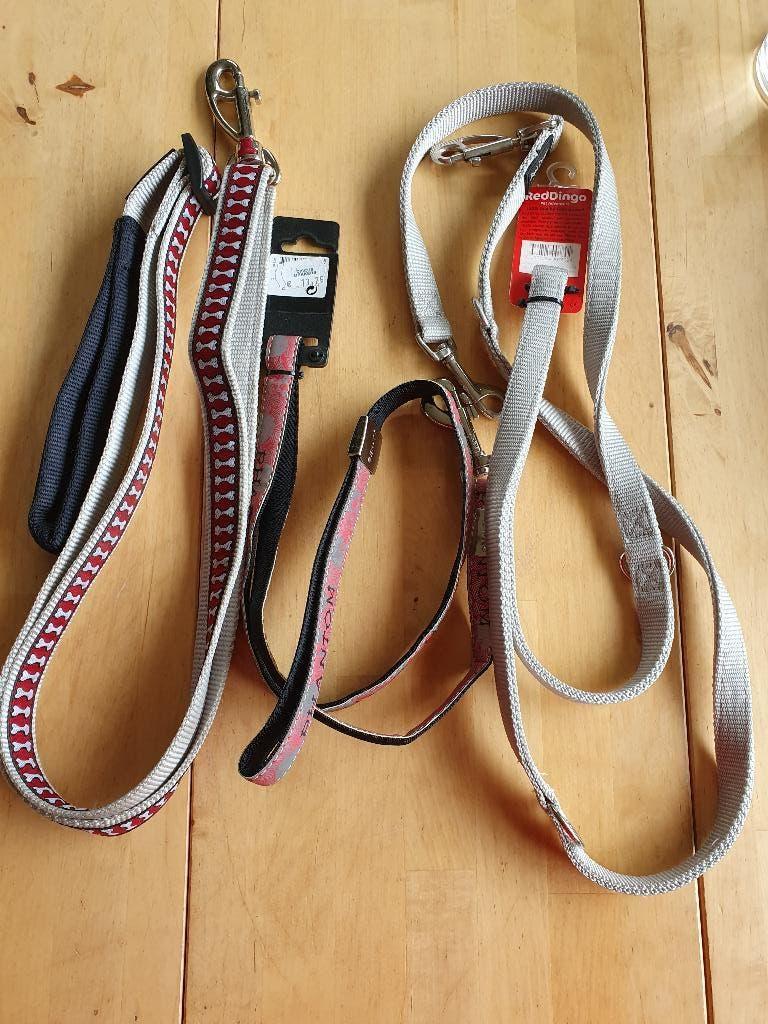 Honden riem 3x, Ophalen of Verzenden, Nieuw, Hondenriem