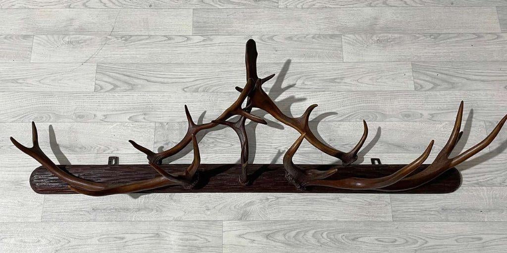 Oude houten GEWEI KAPSTOK - 132 cm breed, Overige materialen, Gebruikt, Nvt, Minder dan 100 cm
