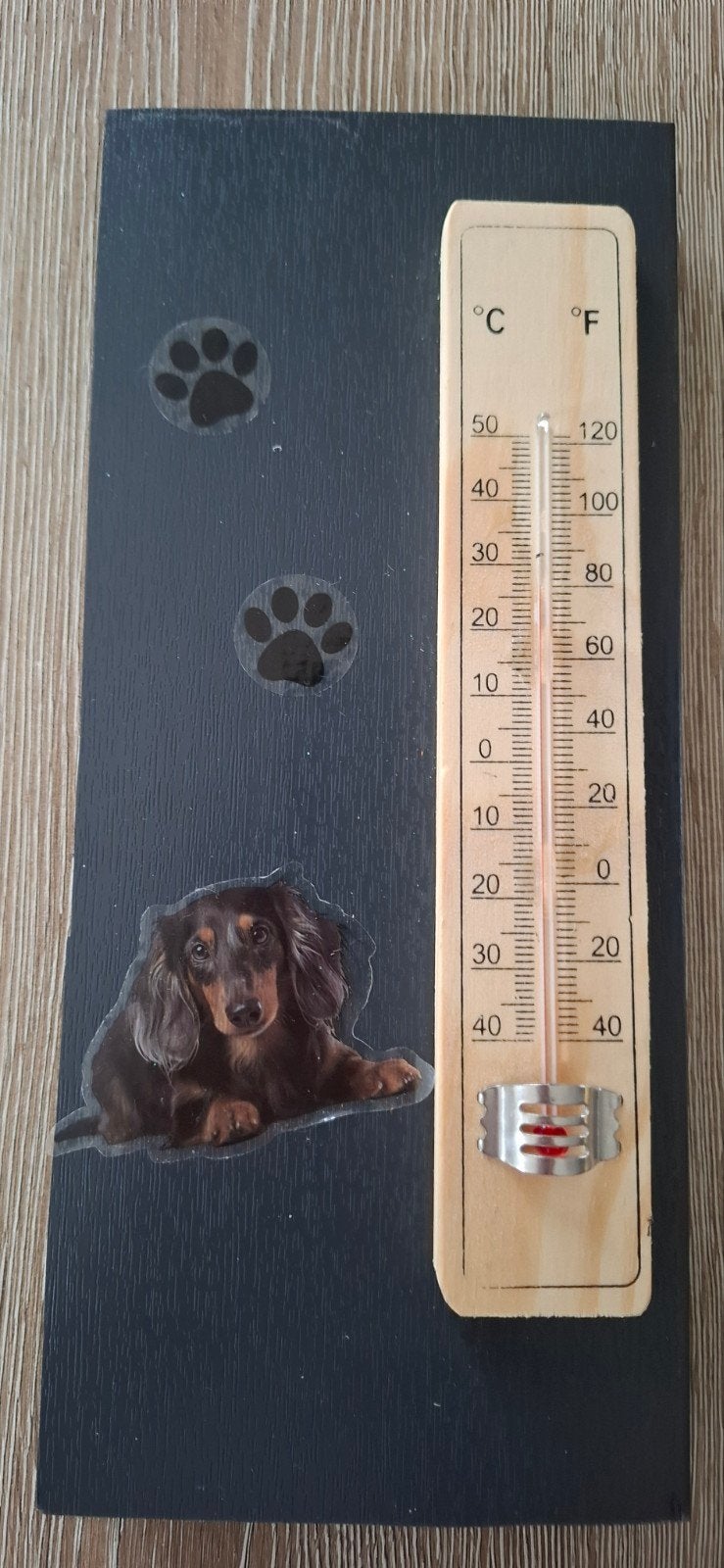 Buitenthermometer met langharige teckel, Ophalen of Verzenden