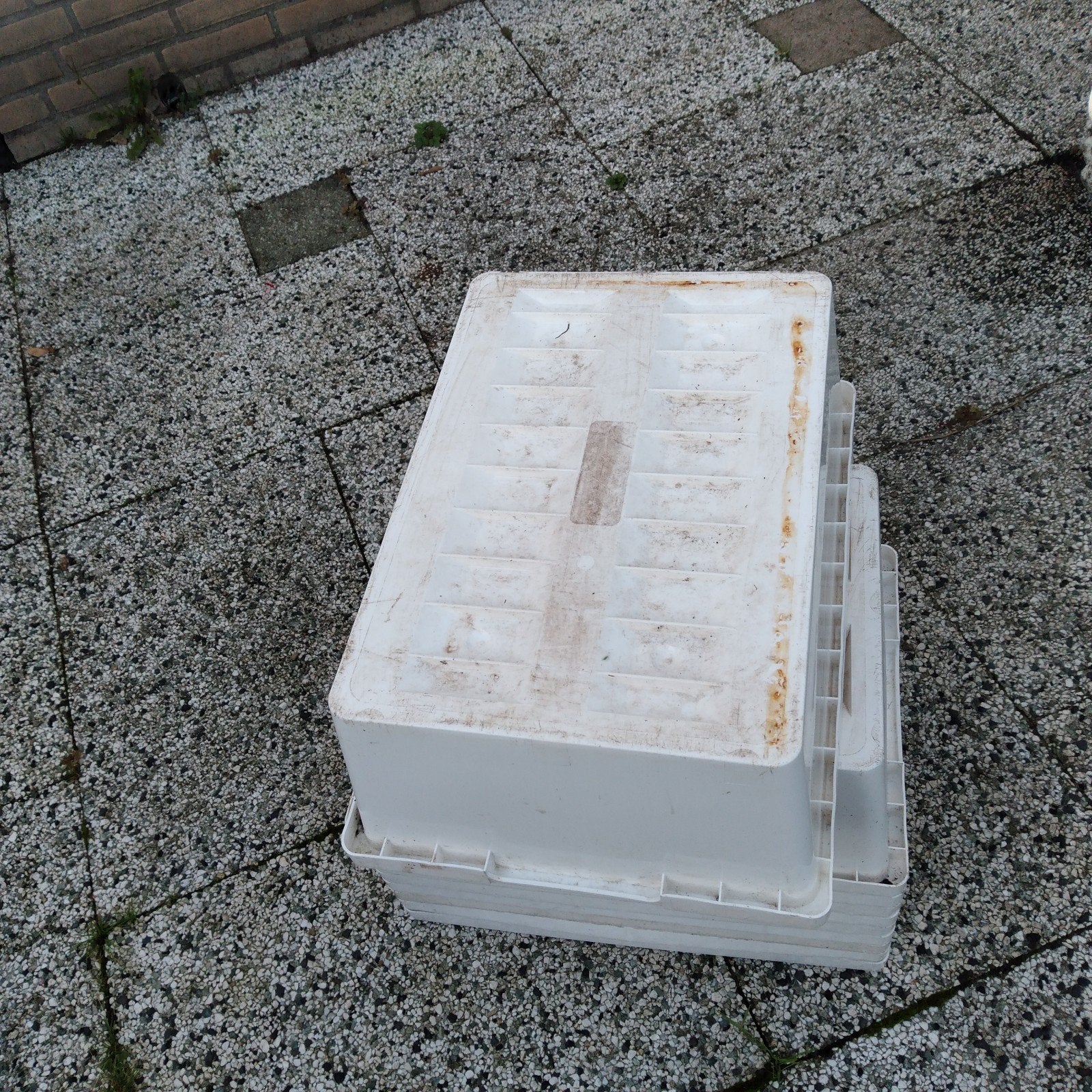 10 kweek bakken, Ophalen of Verzenden, Minder dan 40 cm, Minder dan 35 cm