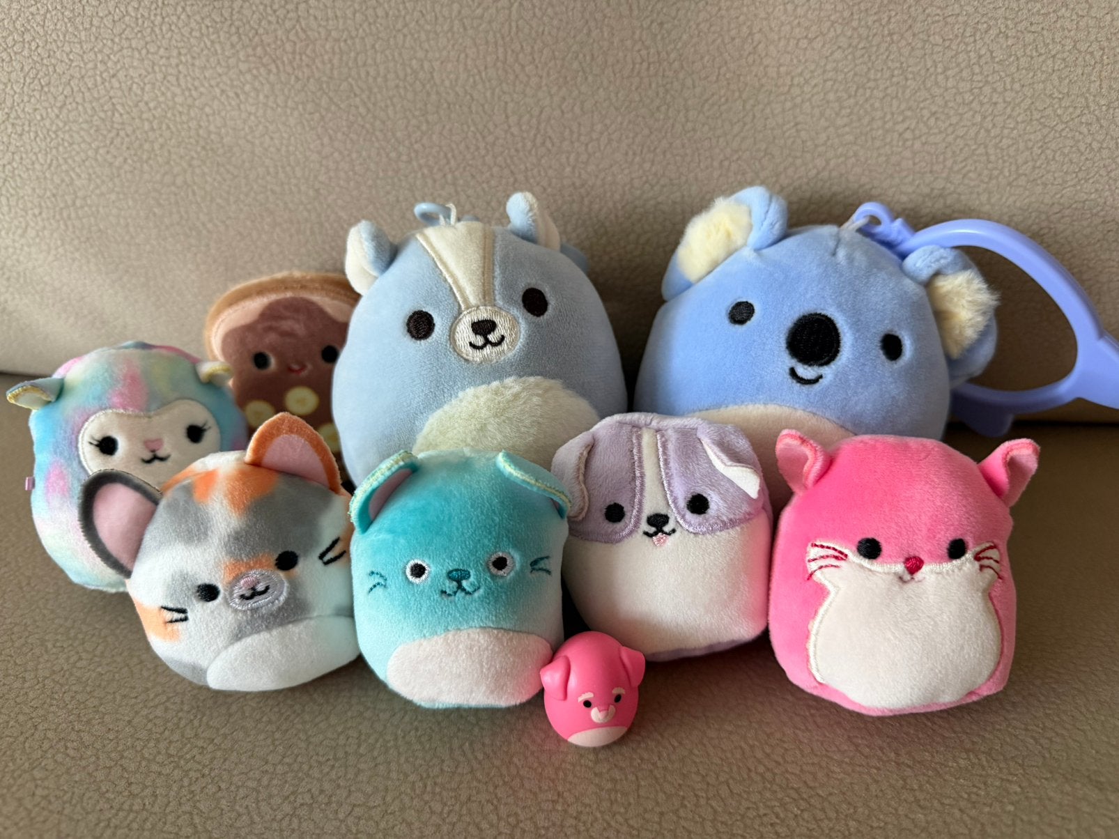 Squishmallows Squishville squish a longs sleutelhangers, Ophalen of Verzenden, Zo goed als nieuw, Overige typen