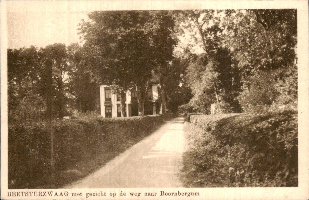 Beetsterzwaag - Weg - naar Boornbergum, Ophalen of Verzenden, 1920 tot 1940, Ongelopen, Friesland