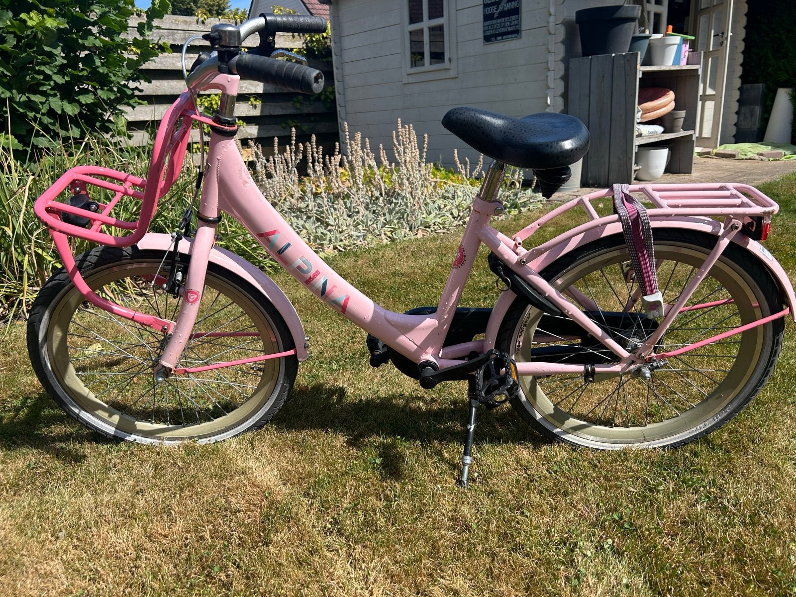 Alpina kinderfiets 20 inch - Roze, Ophalen, Terugtraprem, Gebruikt, Handrem