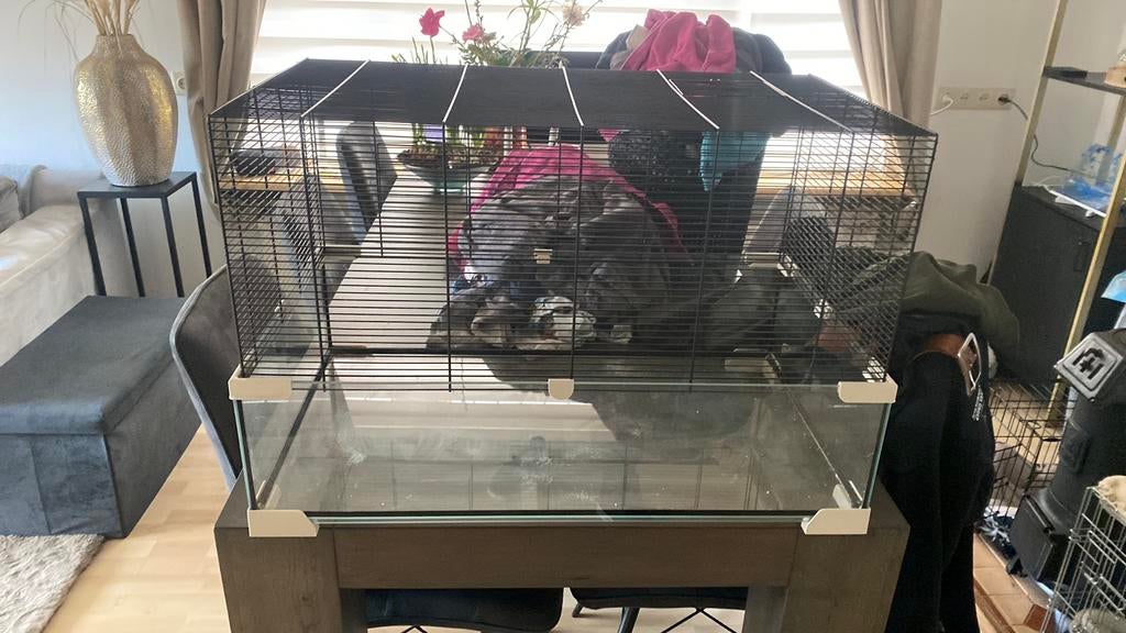 Mooi hamsterhok, Dieren en Toebehoren, Ophalen, Zo goed als nieuw, Hok, 75 tot 110 cm