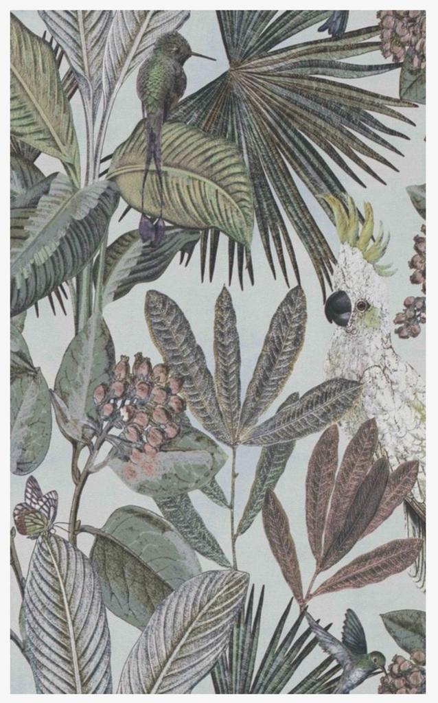 BN Panthera Tropisch Behang - Papegaai & Kolibrie, Ophalen of Verzenden, Groen