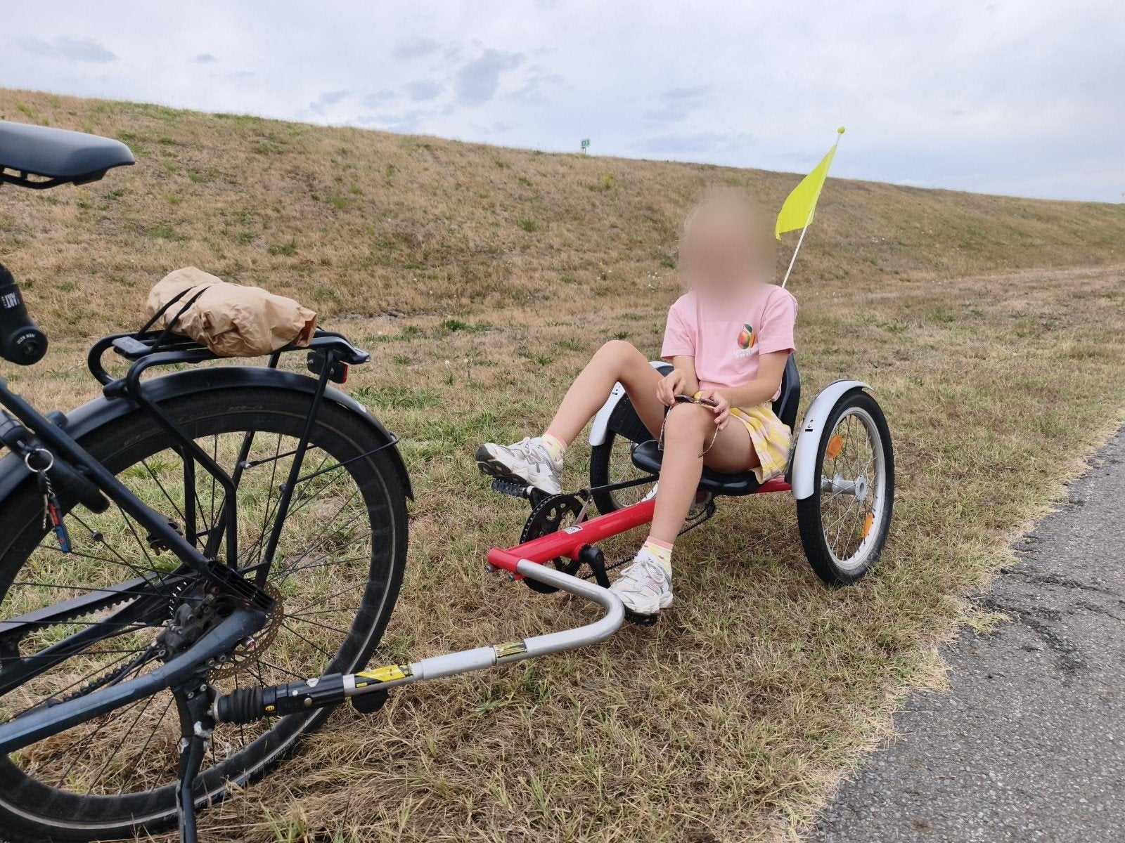 Hase degelijke aanhangfiets voor kinderen, Ophalen, Gebruikt, Minder dan 20 kg, Aanhangfiets