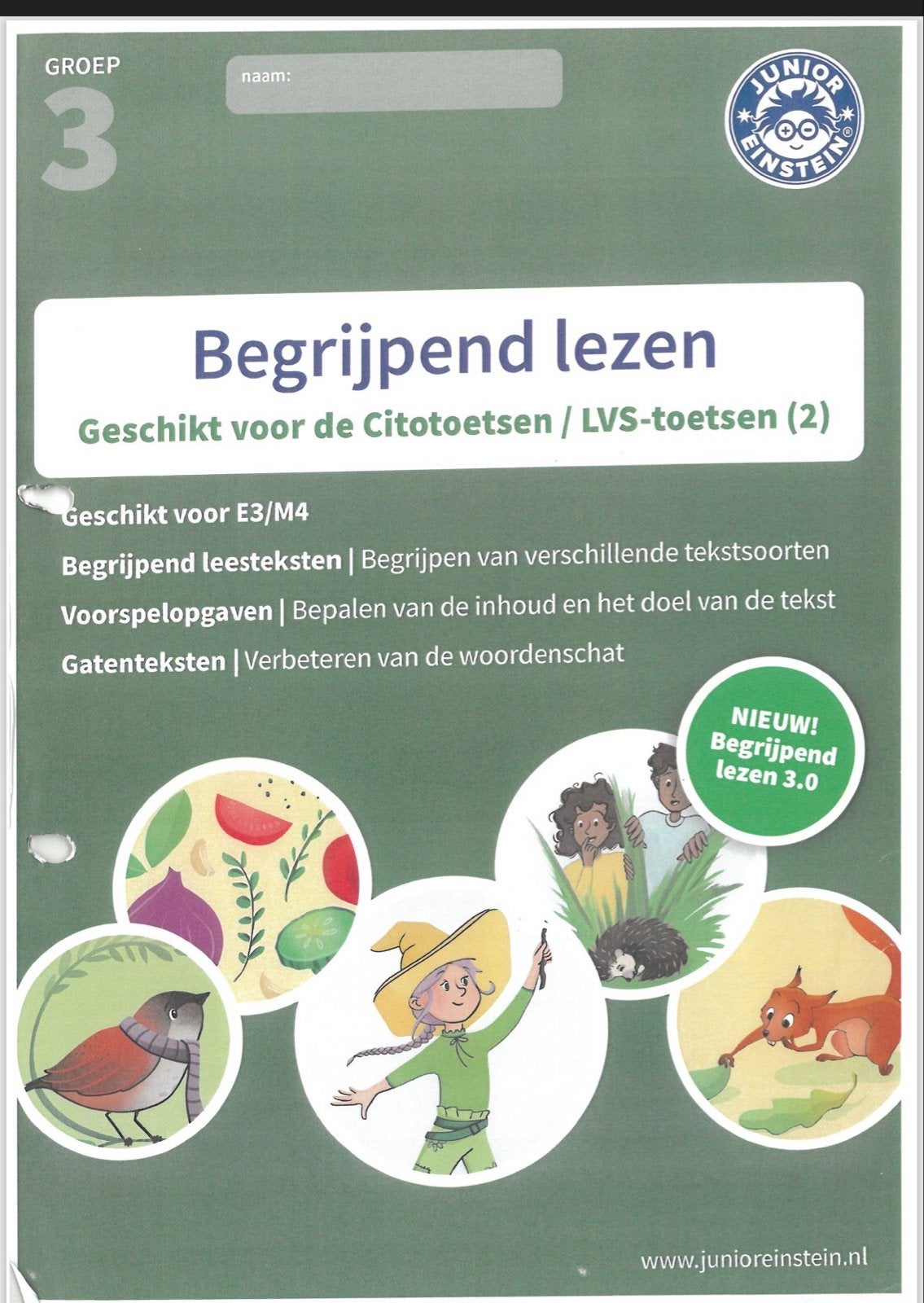 Digitaal Junior Einstein Begrijpend Lezen Groep 3 (E3/M4), Ophalen, Zo goed als nieuw, Overige niveaus, Nederlands