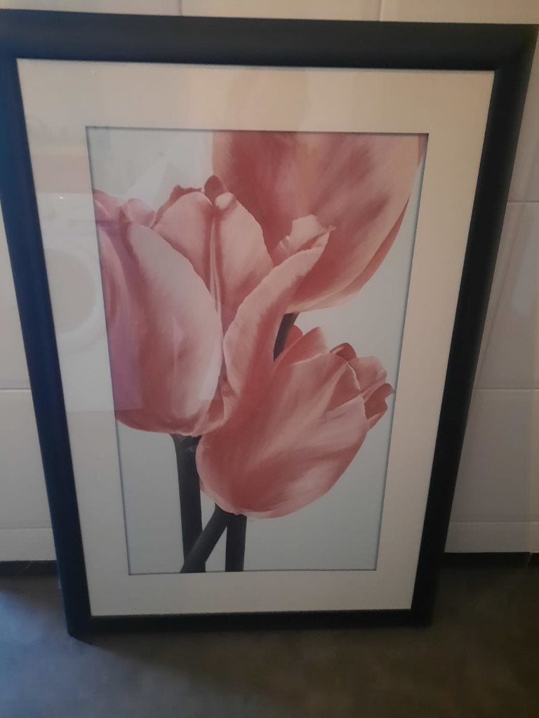 Schilderij met Rozen, Ophalen, Tekening, Zo goed als nieuw, 75 tot 100 cm