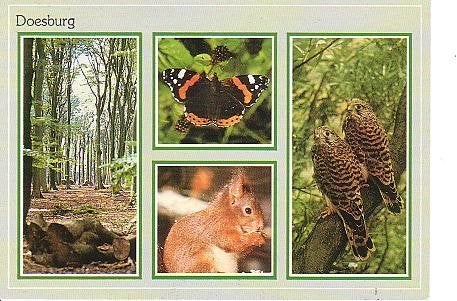 Ansichtkaart 	Doesburg	4-luik, Verzenden, 1980 tot heden, Gelopen, Gelderland
