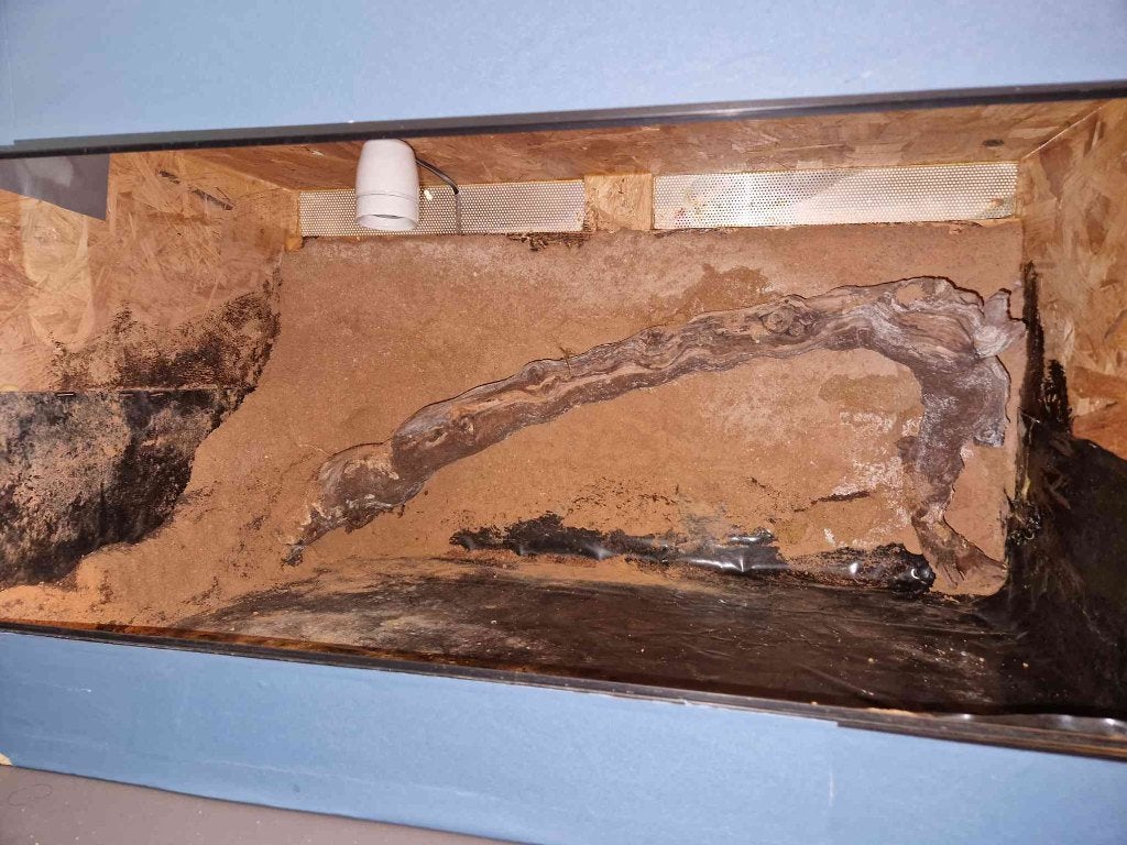OSB Terrarium 70x40x40, Dieren en Toebehoren, Ophalen, Gebruikt, Terrarium of Paludarium