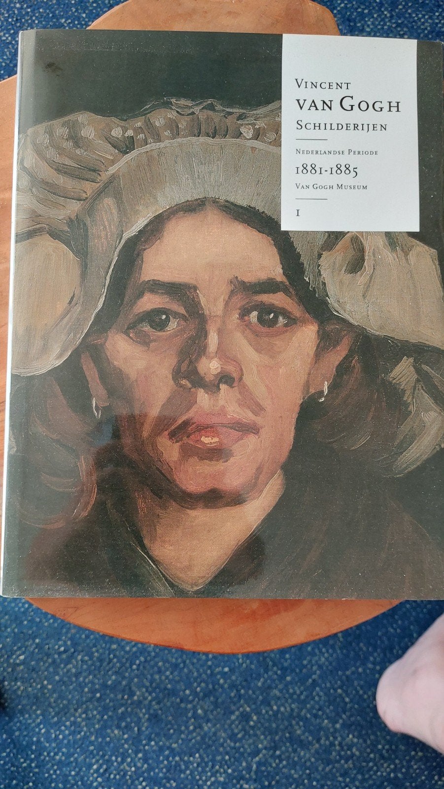 Vincent van Gogh Schilderijen Nederlandse Periode 1881-1885, Ophalen of Verzenden, Zo goed als nieuw, Fotografie algemeen, Louis van Tilborgh, Marije Vellekoop