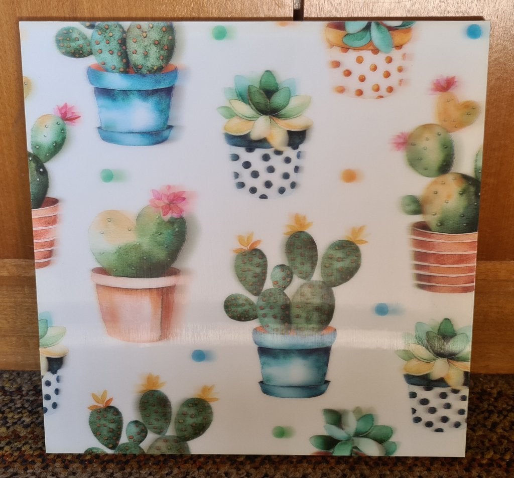 Afbeelding cactussen op hout, Ophalen, Gebruikt, Minder dan 50 cm, Print