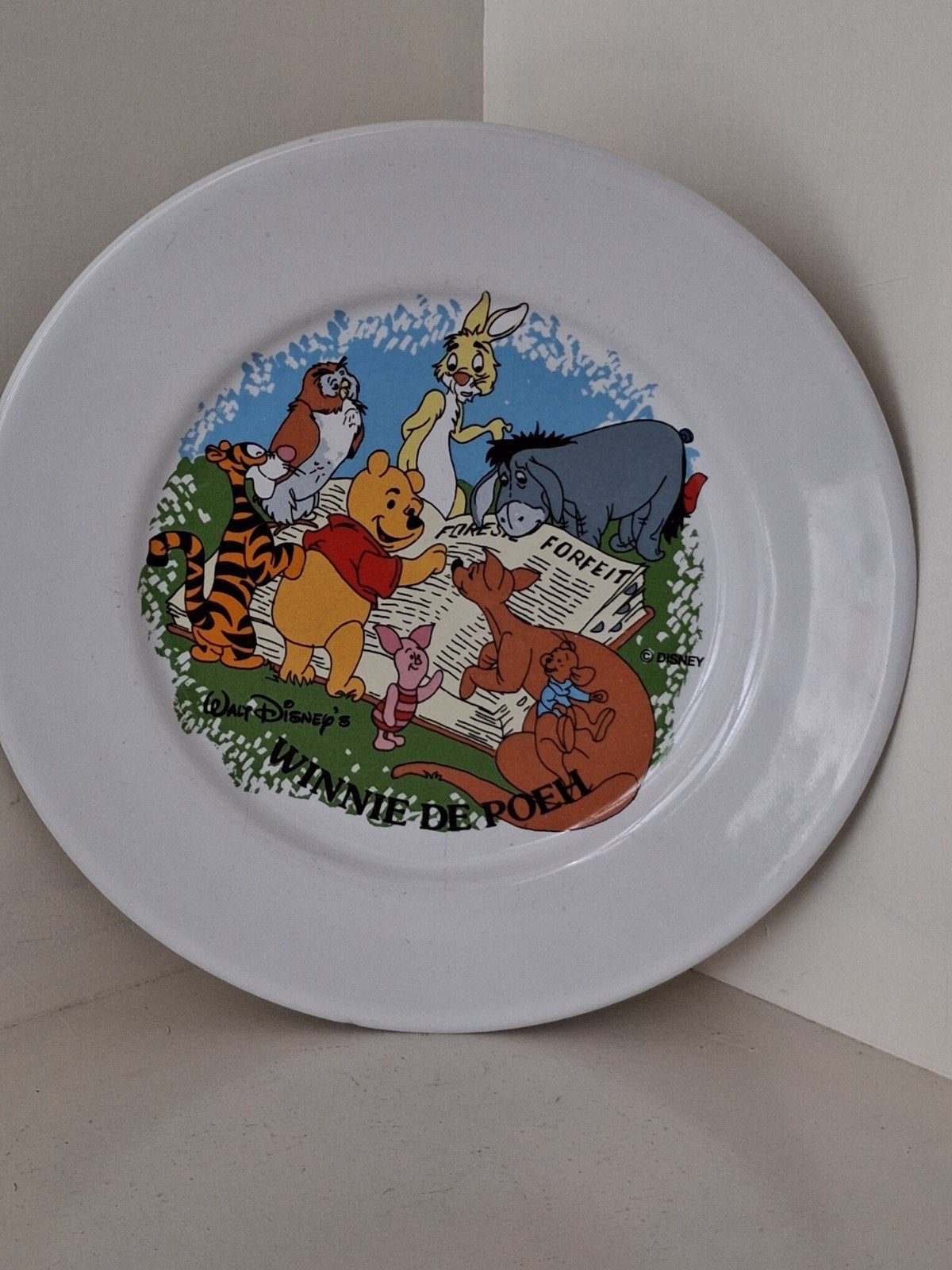 Vintage Disney Winnie de Poeh Bord – Ter Steege Holland, Ophalen of Verzenden, Winnie de Poeh of vrienden, Zo goed als nieuw, Servies