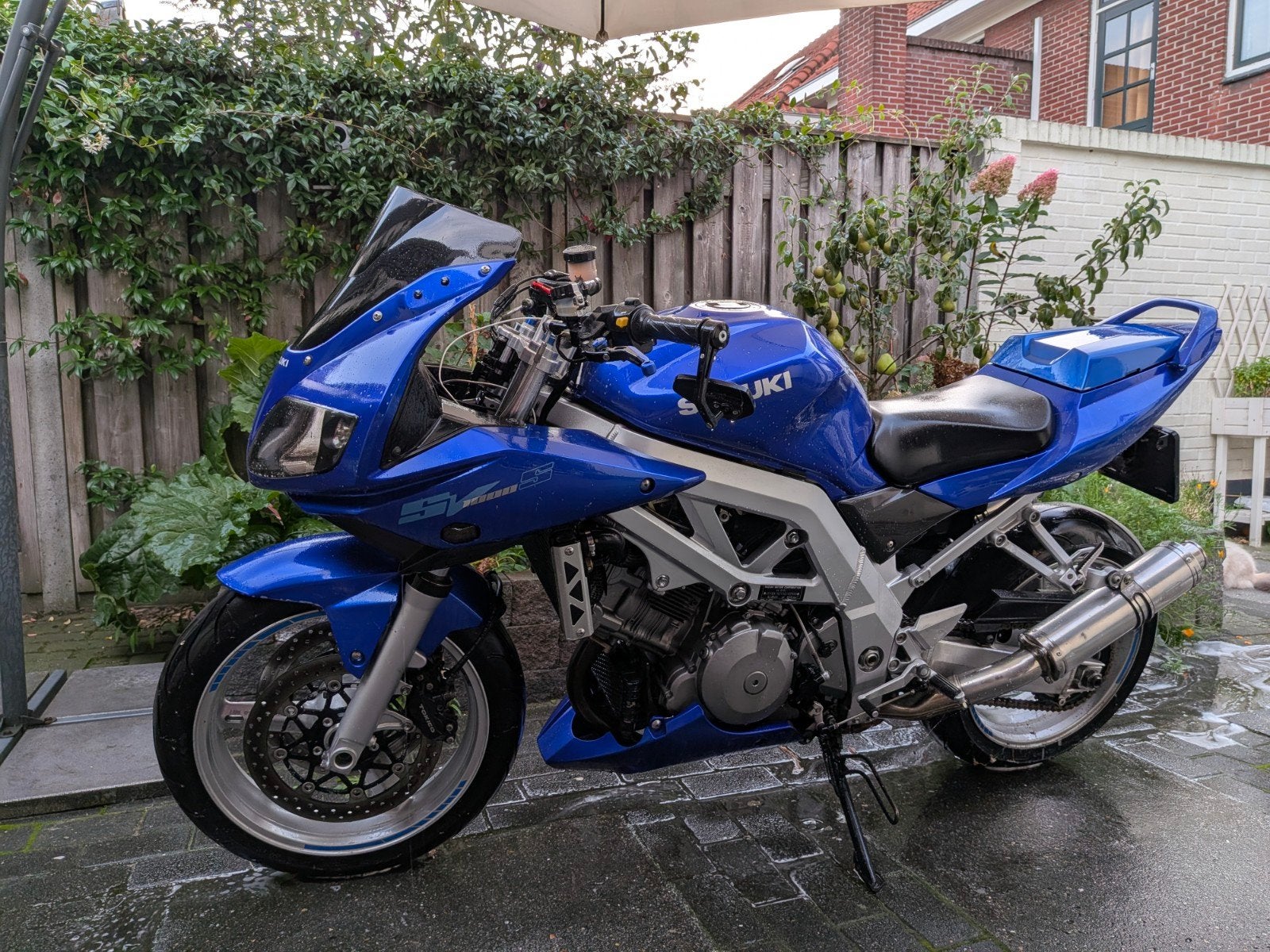 Suzuki SV 1000s uit 2005 - Krachtig en Goed Onderhouden, 2 cilinders, Occasion, Motorrijbewijs A, Handgeschakeld