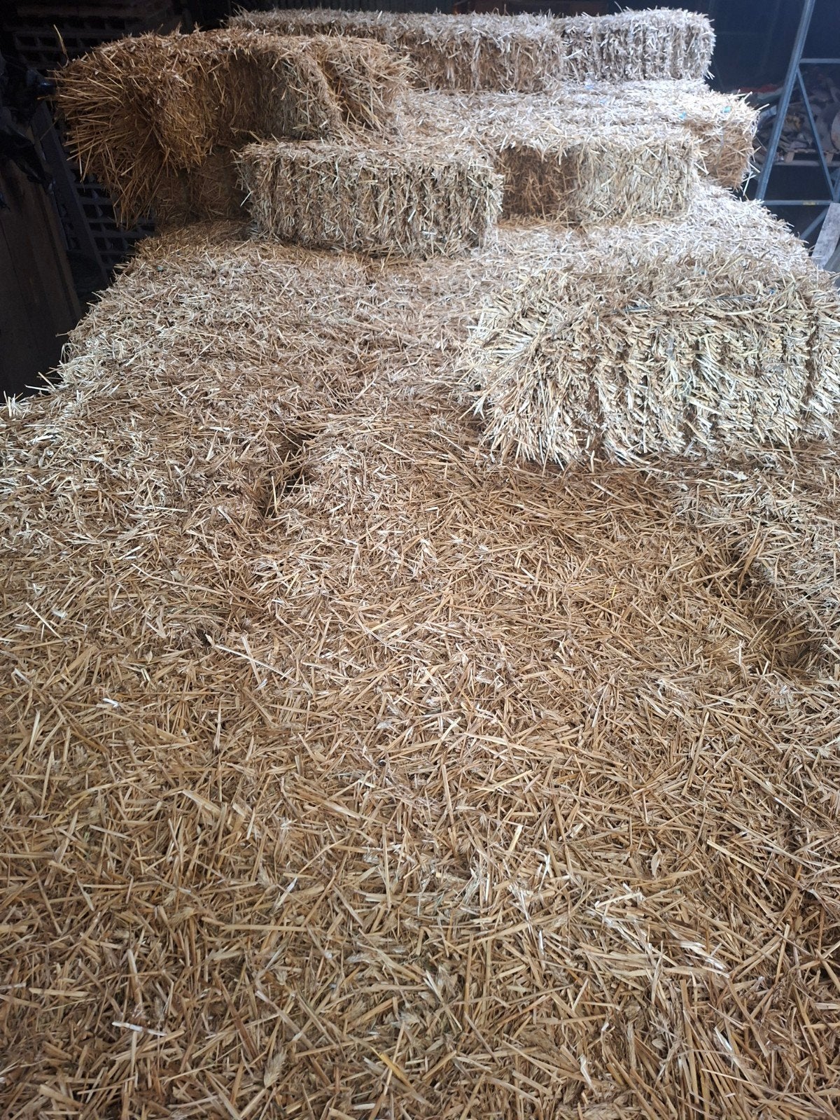 mooi stro kleine pakjes, Dieren en Toebehoren, Ophalen, Vee
