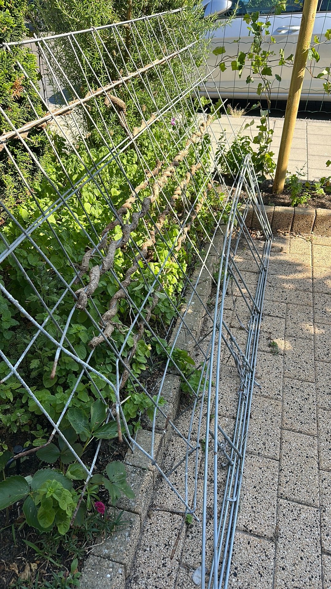 IJzer te koop?, Tuin en Terras, Gaas en Draad, Ophalen of Verzenden, Zo goed als nieuw, Minder dan 10 meter, Raster