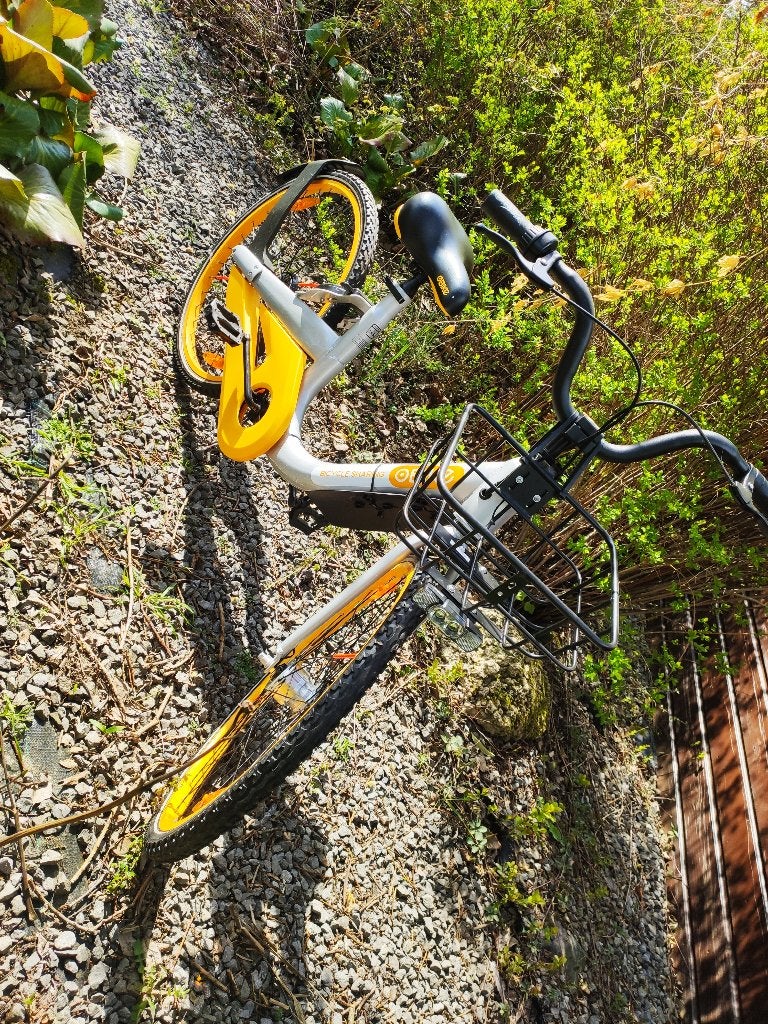 NIEUW damesfiets lage instap AXA slot hufterproof, Ophalen of Verzenden, Nieuw, Overige merken