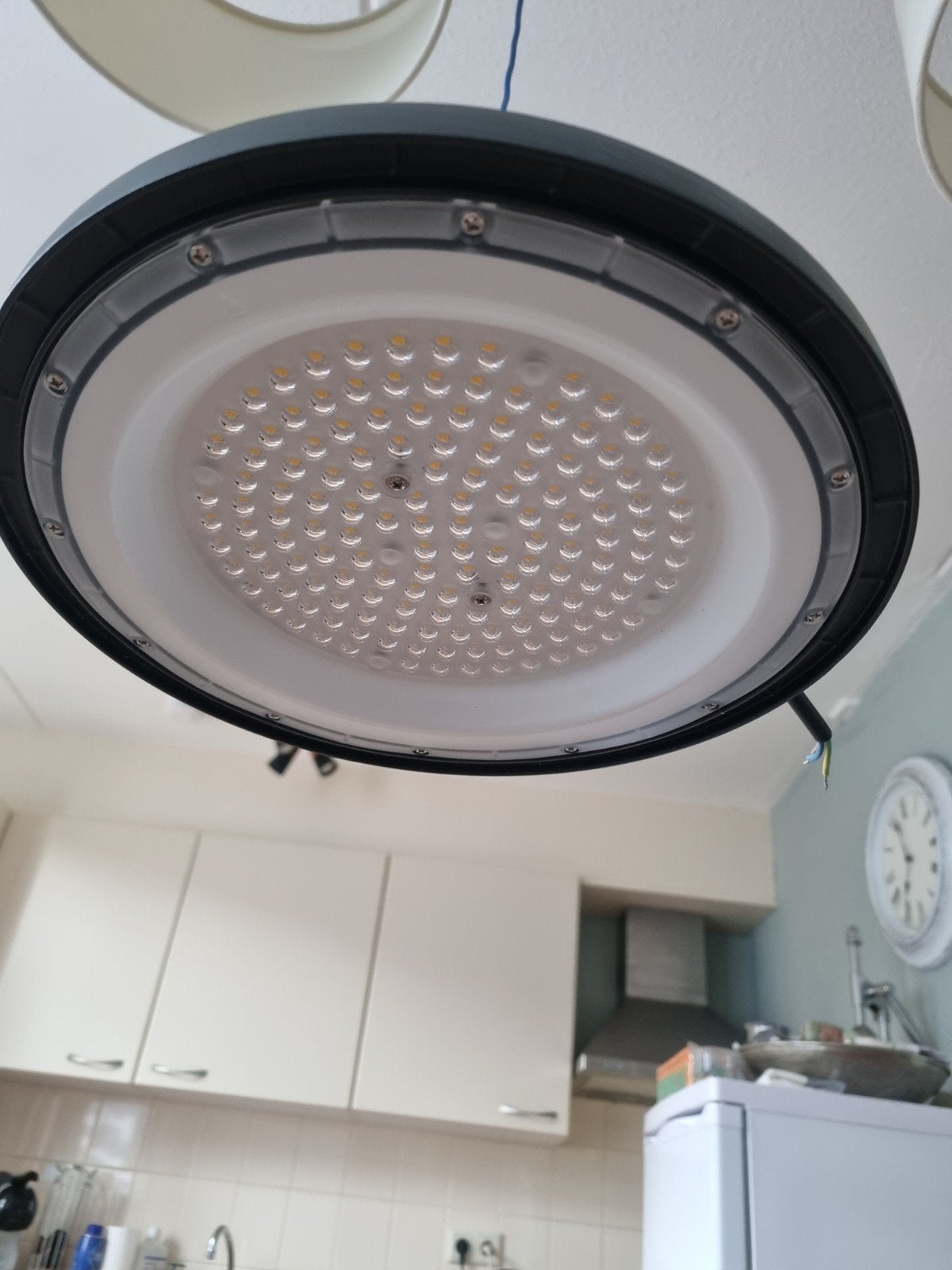 Opgroeilamp 100W 4000K voor Koi/Vissen - Daglicht Simulatie, Ophalen of Verzenden, Nieuw, Vijververlichting