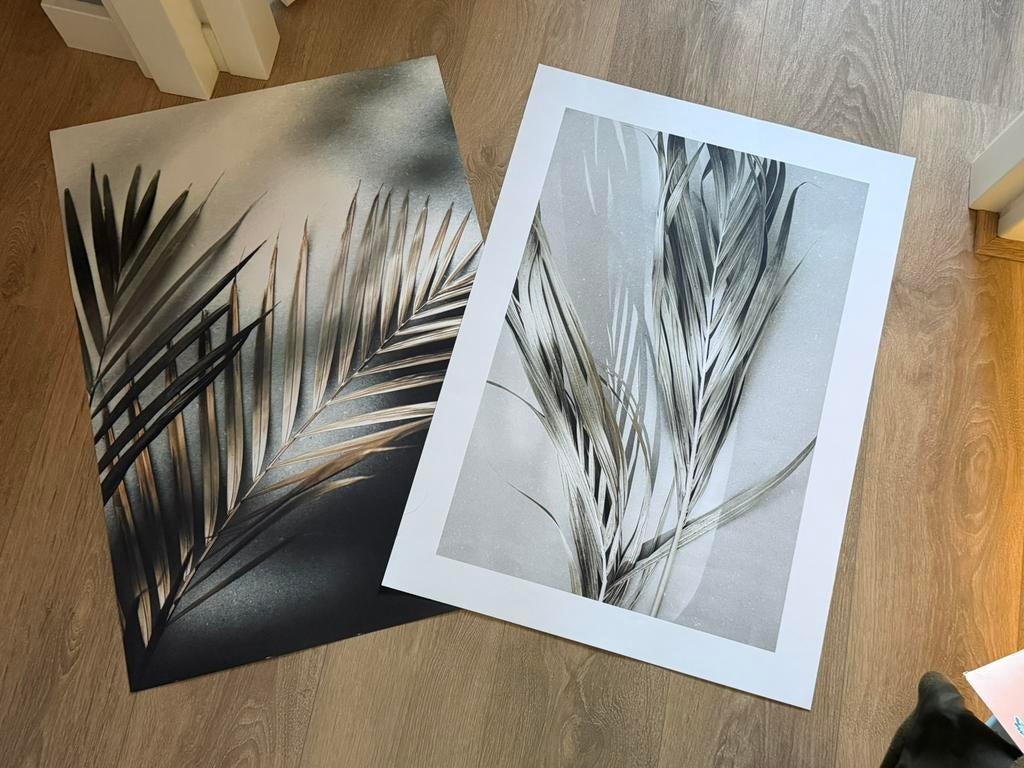 Posters desenio, Ophalen of Verzenden, Zo goed als nieuw, Overige materialen