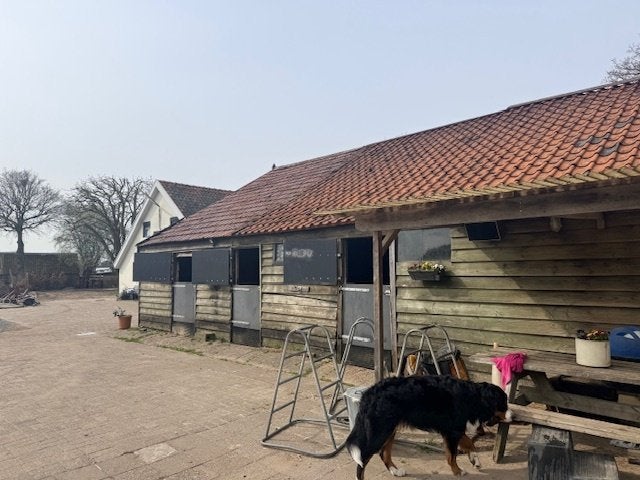 Paarden stalling op een gezellige stal :), Stalling, 2 of 3 paarden of pony's