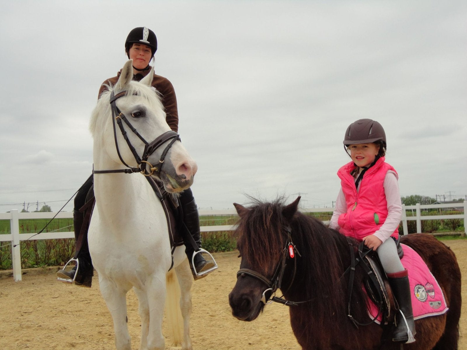 Verzorger aangeboden/verzorgpony of paard gezocht Elst, Ophalen, Overige typen